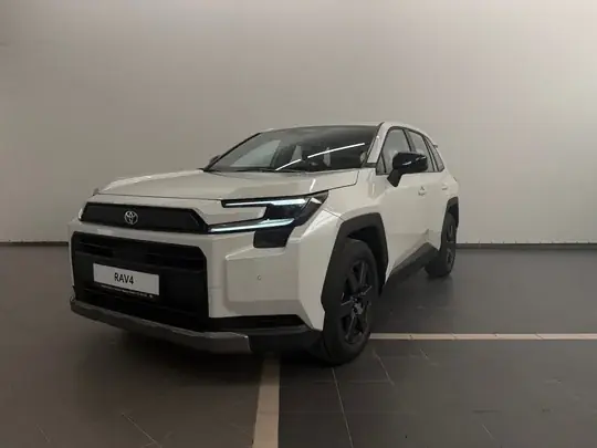 RAV4, VI (XA60)