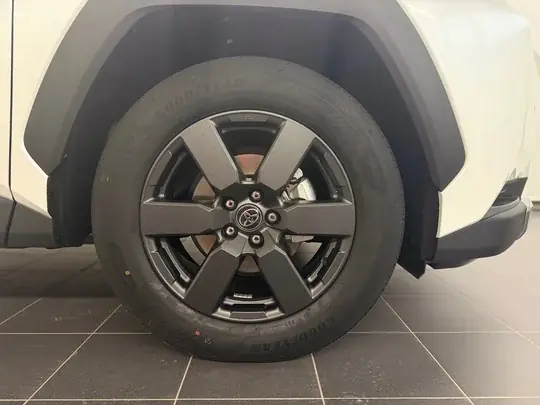 RAV4, VI (XA60)