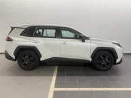 RAV4, VI (XA60)