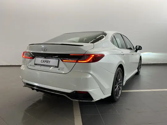 Camry, IX (XV80) China Market