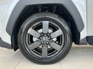 RAV4, VI (XA60)
