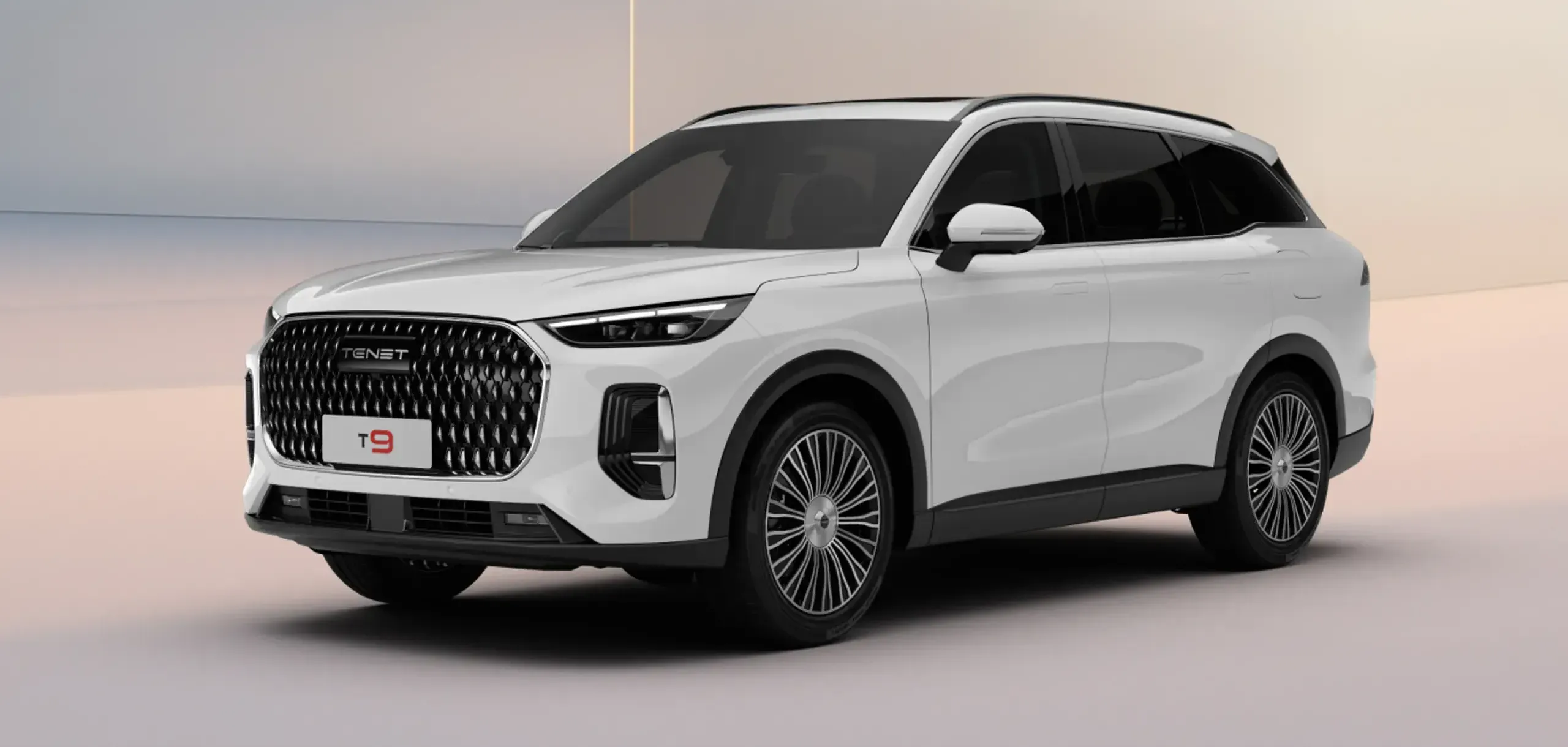 Купить Tenet T9 Белый 2.0T 4WD AT (245 л.с.) от 0 ₽. в Березниках